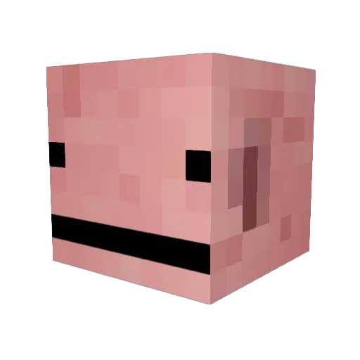 xXiProGameriXx Minecraft avatar head, 3D render