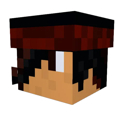 xXkraylXx Minecraft avatar head, 3D render