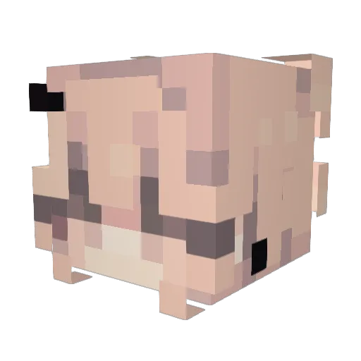 xXlCherrylXx Minecraft avatar head, 3D render