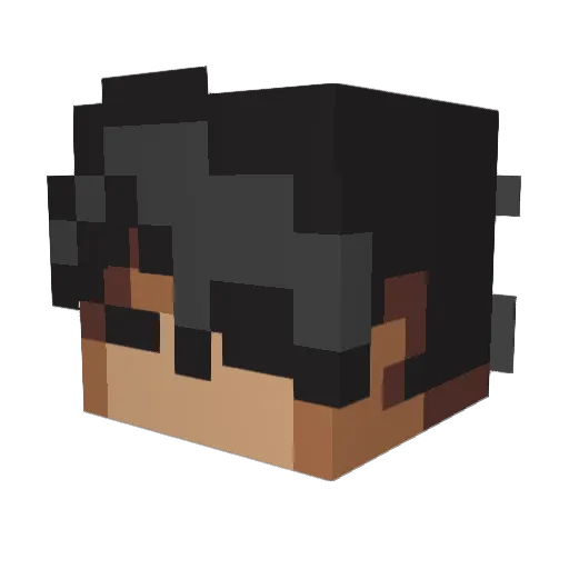 xXlilneekXx Minecraft avatar head, 3D render