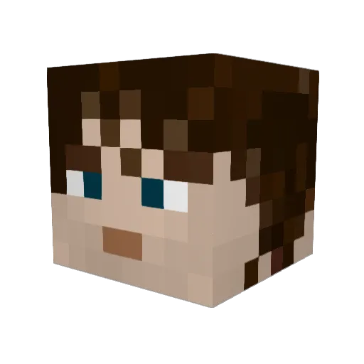 xXoNeShOtPrOXx Minecraft avatar head, 3D render