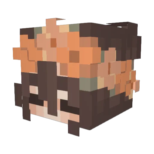 xXoinkerXx Minecraft avatar head, 3D render