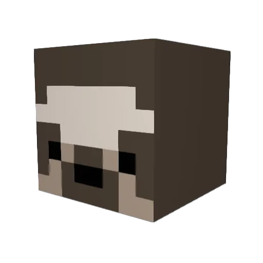 xXsaltysaplingXx Minecraft avatar head, 3D render
