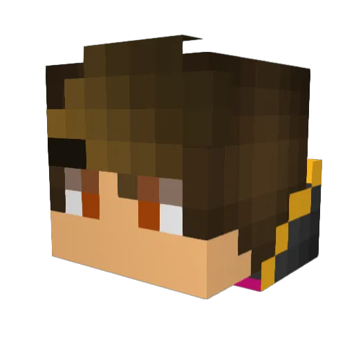 xXsurficalXx Minecraft avatar head, 3D render