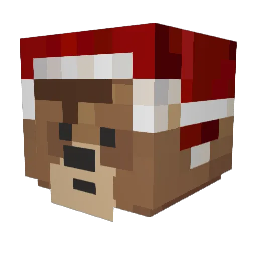 xXx1AUSTIN1xXx Minecraft avatar head, 3D render