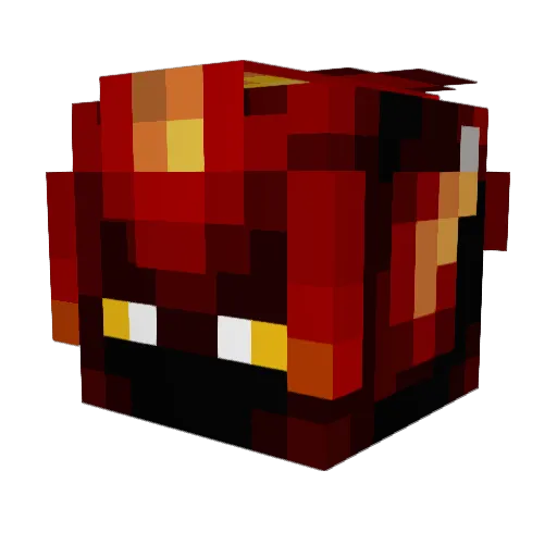 xXxBigGamerxXx Minecraft avatar head, 3D render