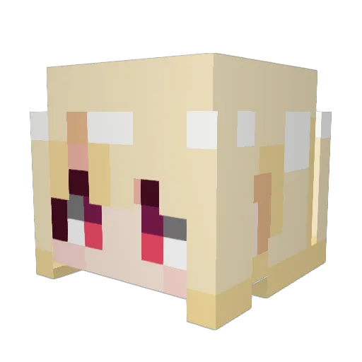 xXxCITLALIxXx Minecraft avatar head, 3D render