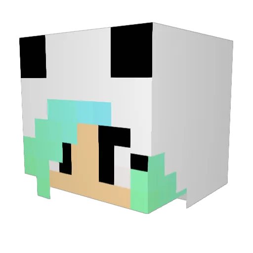 xXxEmilyxXxW Minecraft avatar head, 3D render