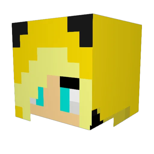 xXxFreeStylexXx Minecraft avatar head, 3D render