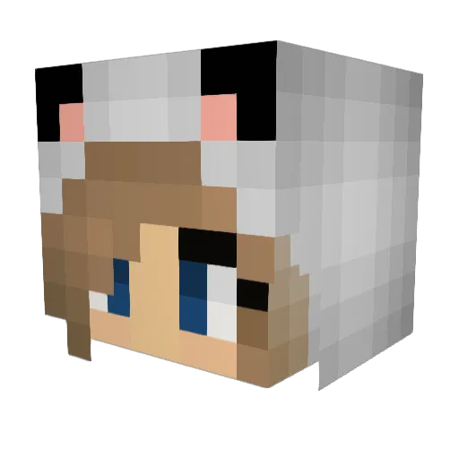 xXxPancakesxXx Minecraft avatar head, 3D render