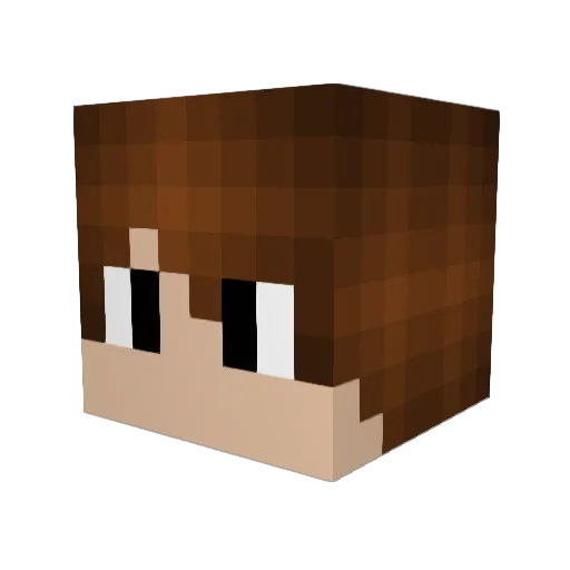 xXxXDolphinXxXx Minecraft avatar head, 3D render