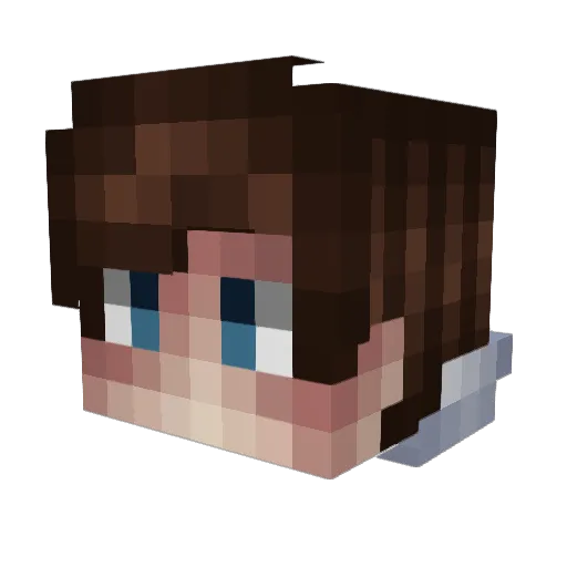 xXx_AFK_xXx Minecraft avatar head, 3D render