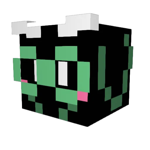xXx_Nolan_xXx Minecraft avatar head, 3D render