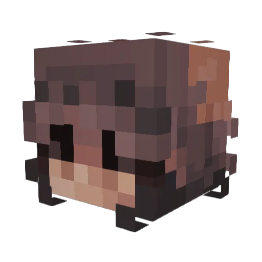 xXx_Yoom_xXx Minecraft avatar head, 3D render