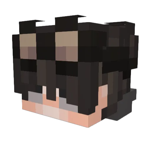 xYeet_ Minecraft avatar head, 3D render