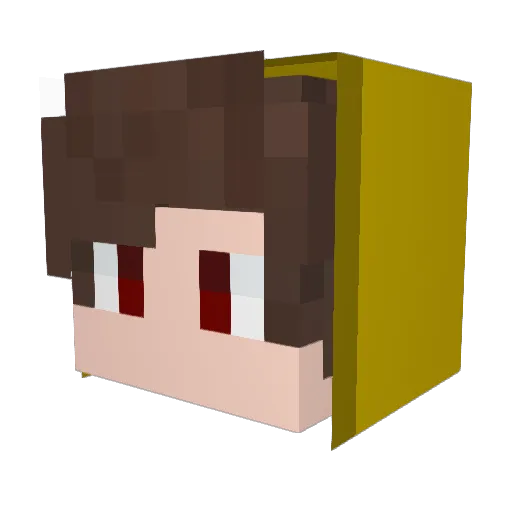 xYellowDuckz Minecraft avatar head, 3D render