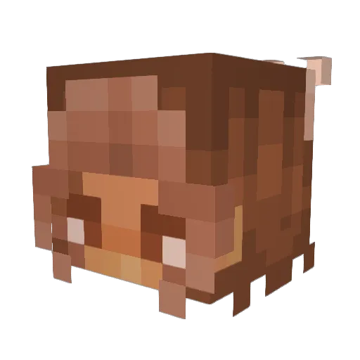 xYerbaMatex Minecraft avatar head, 3D render