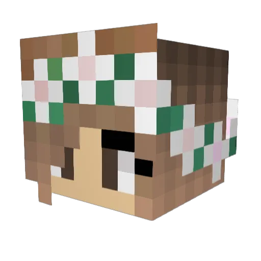 xZaliax Minecraft avatar head, 3D render