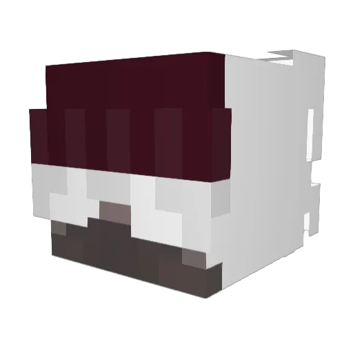 xZeqqo Minecraft avatar head, 3D render