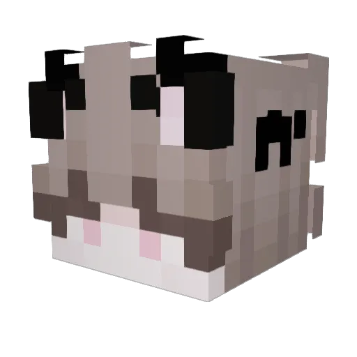 x_AME17 Minecraft avatar head, 3D render