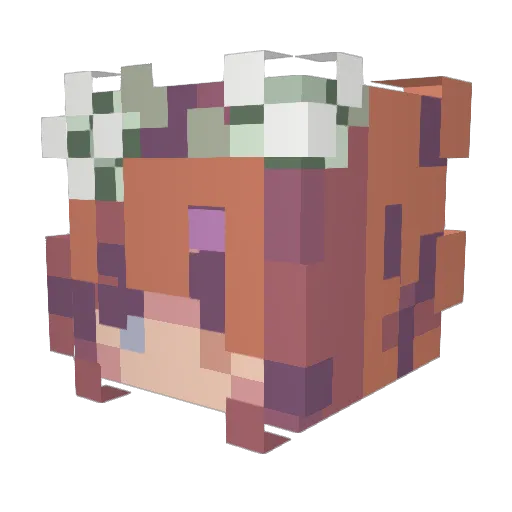 x_Amylee_x Minecraft avatar head, 3D render