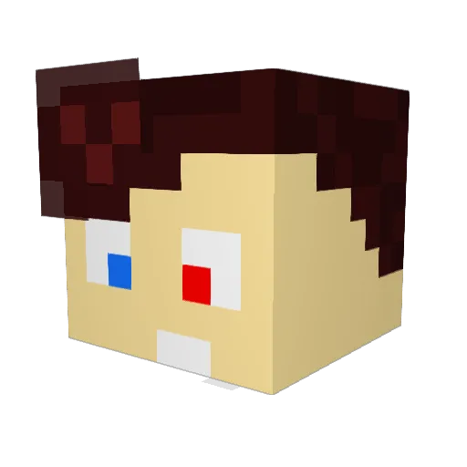 x_Anthony888_x Minecraft avatar head, 3D render