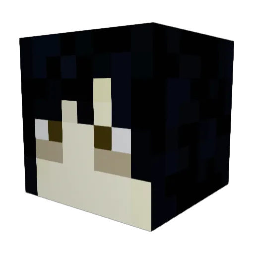 x_Blacked_x Minecraft avatar head, 3D render