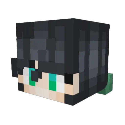 x_Calamitys Minecraft avatar head, 3D render