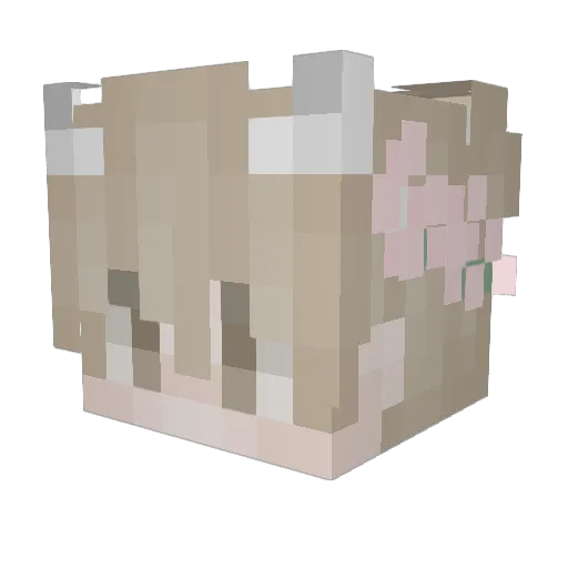 x_Electra_x Minecraft avatar head, 3D render