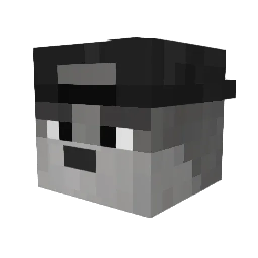 x_Enkay_x Minecraft avatar head, 3D render