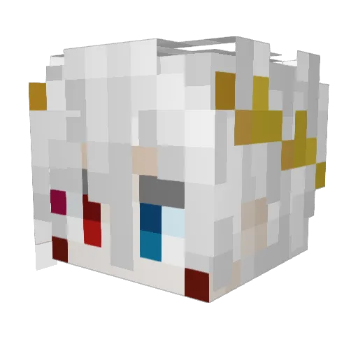 x_Killerfrijol13 Minecraft avatar head, 3D render