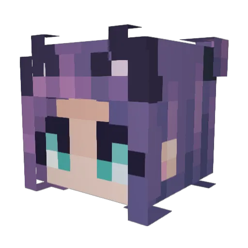 x_Kitzu_x Minecraft avatar head, 3D render