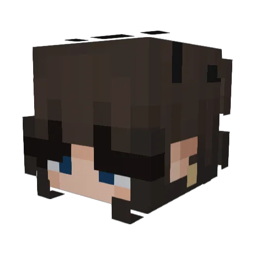 x_Laylaa_x Minecraft avatar head, 3D render