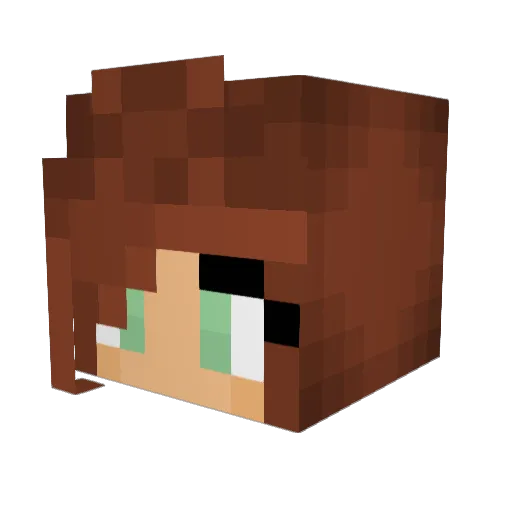 x_Lizzy Minecraft avatar head, 3D render