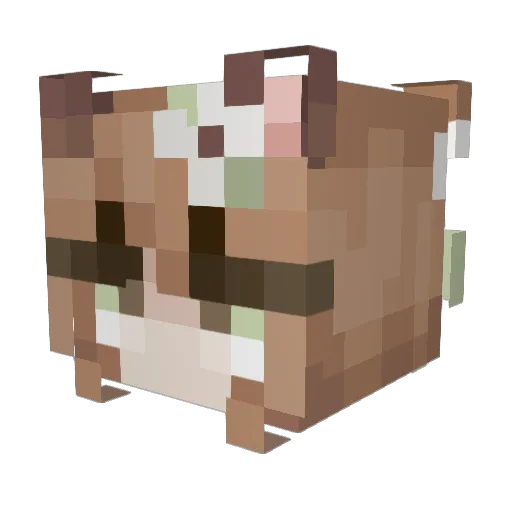 x_Miracles Minecraft avatar head, 3D render