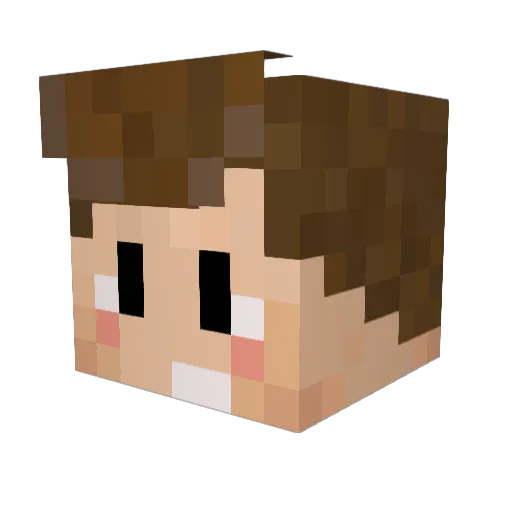 x_NaRa_x Minecraft avatar head, 3D render
