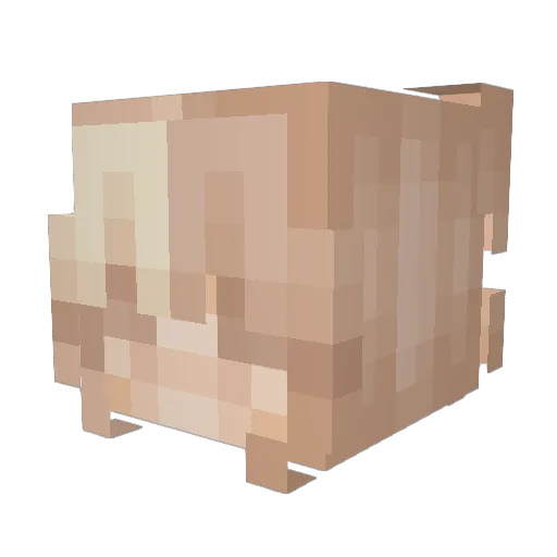 x_OnO_x Minecraft avatar head, 3D render