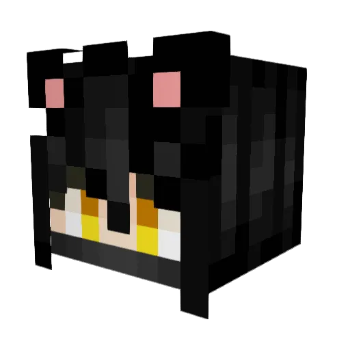 x_Parin_x Minecraft avatar head, 3D render