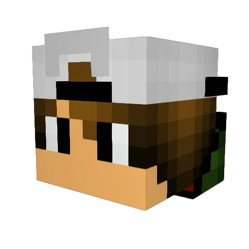 x_SLooM_83 Minecraft avatar head, 3D render