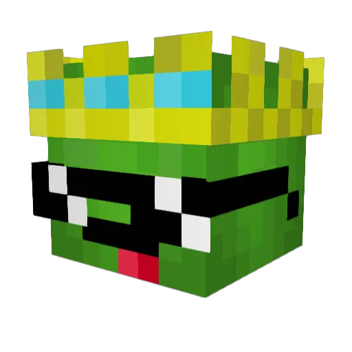 x_TurtlesRLit_x Minecraft avatar head, 3D render