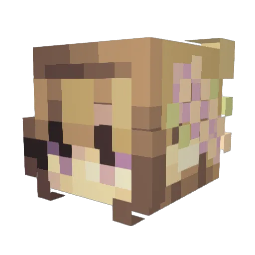 x_V41KYRIE_x Minecraft avatar head, 3D render