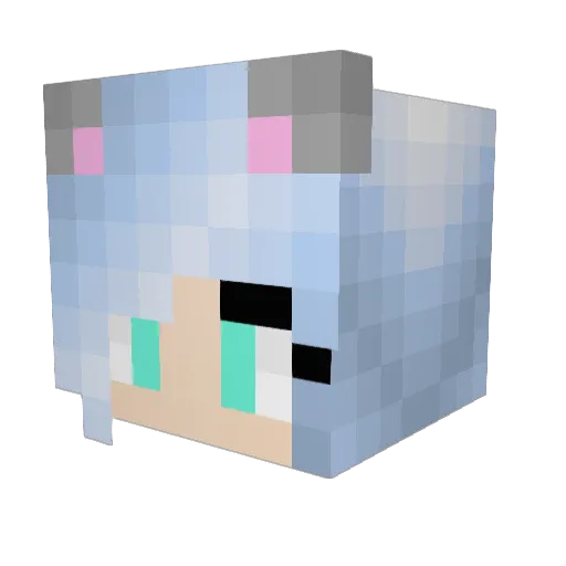 x_Wishing_x Minecraft avatar head, 3D render