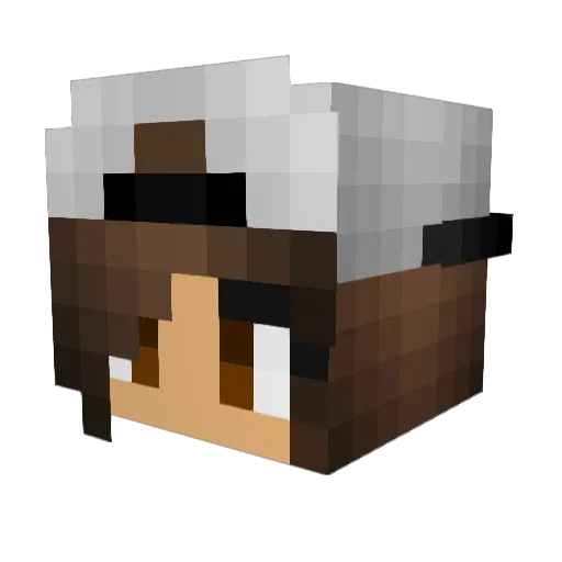 x_XfuzzX_x Minecraft avatar head, 3D render