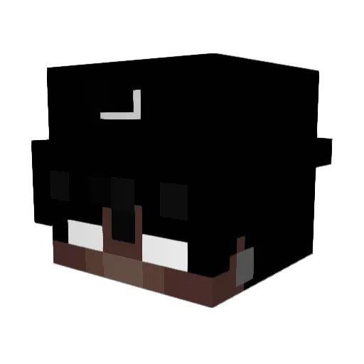 x__im_rage Minecraft avatar head, 3D render