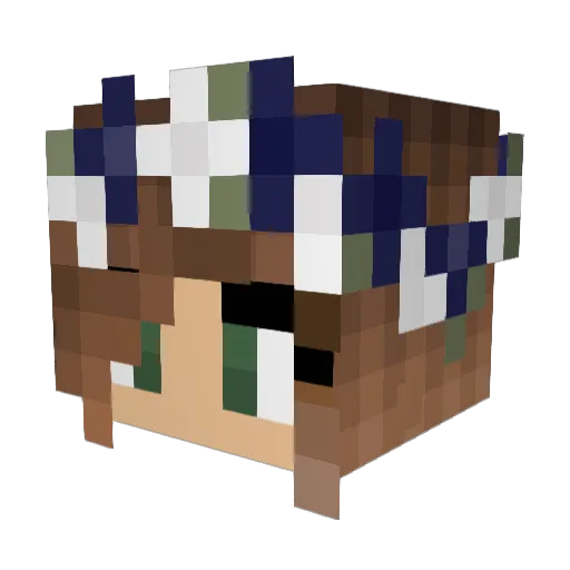 x_alex_14 Minecraft avatar head, 3D render