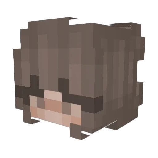 x_cam_x Minecraft avatar head, 3D render