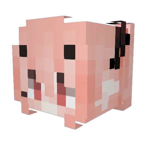 x_chanchiwawi_x Minecraft avatar head, 3D render