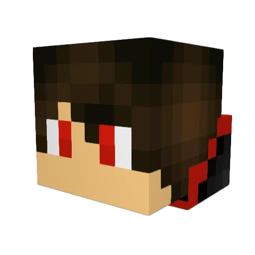 x_darkflames_x Minecraft avatar head, 3D render