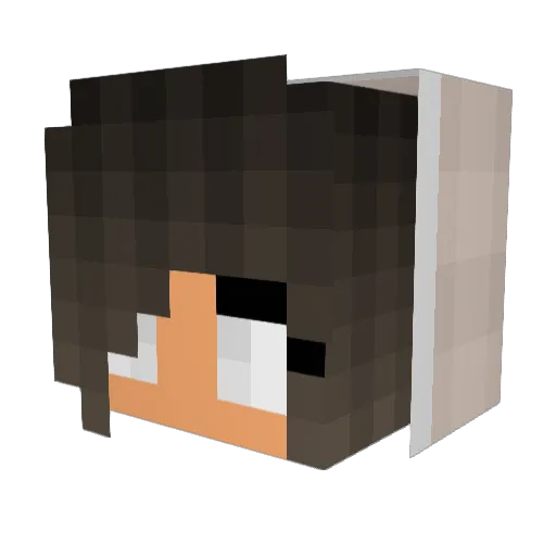 x_hkc_x Minecraft avatar head, 3D render