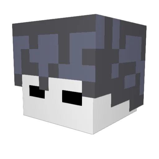 x_kampes_x Minecraft avatar head, 3D render